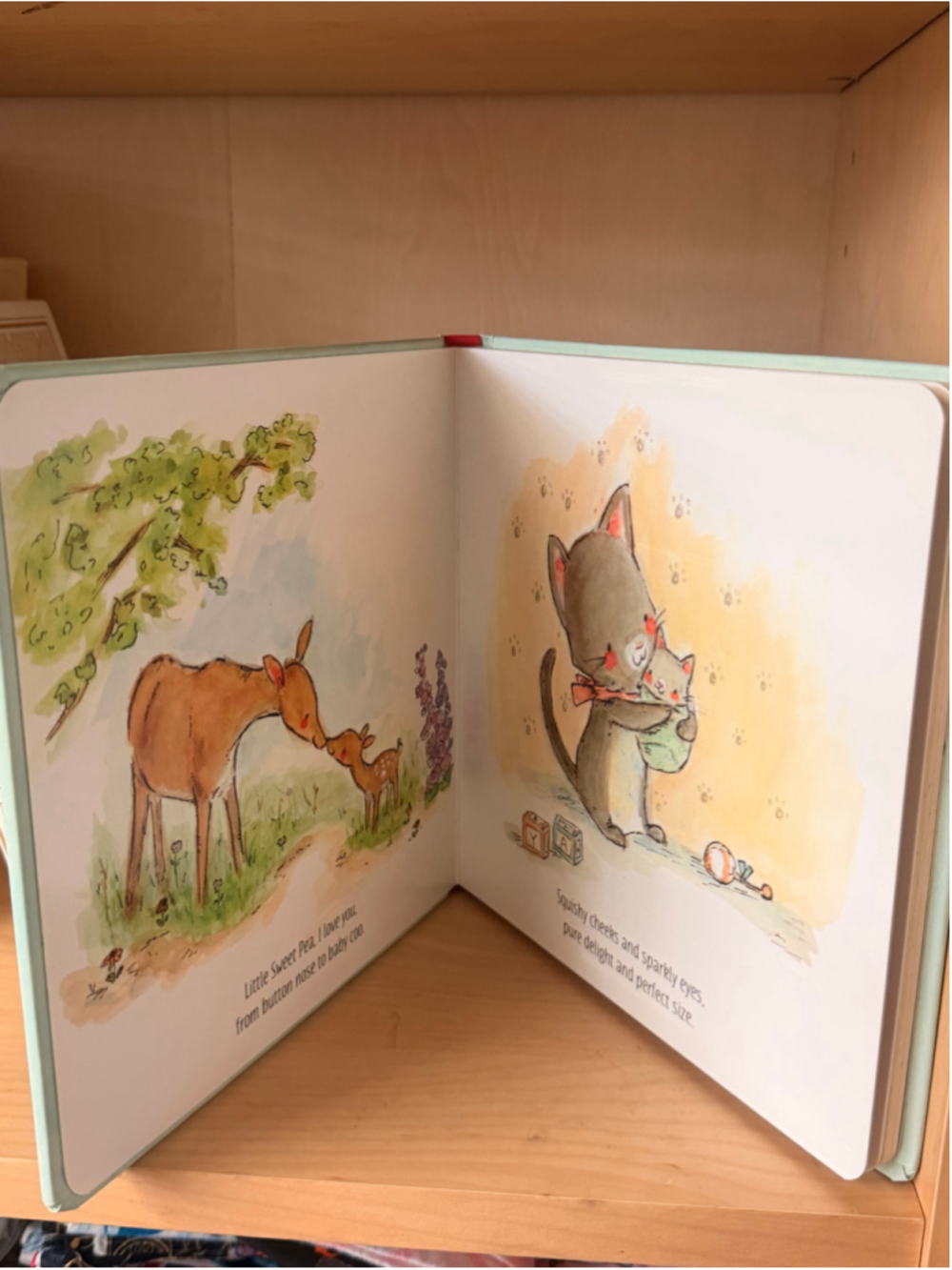 WonderKids Baby Board Book You're My Little Sweet Pea - Picture 4 of 4